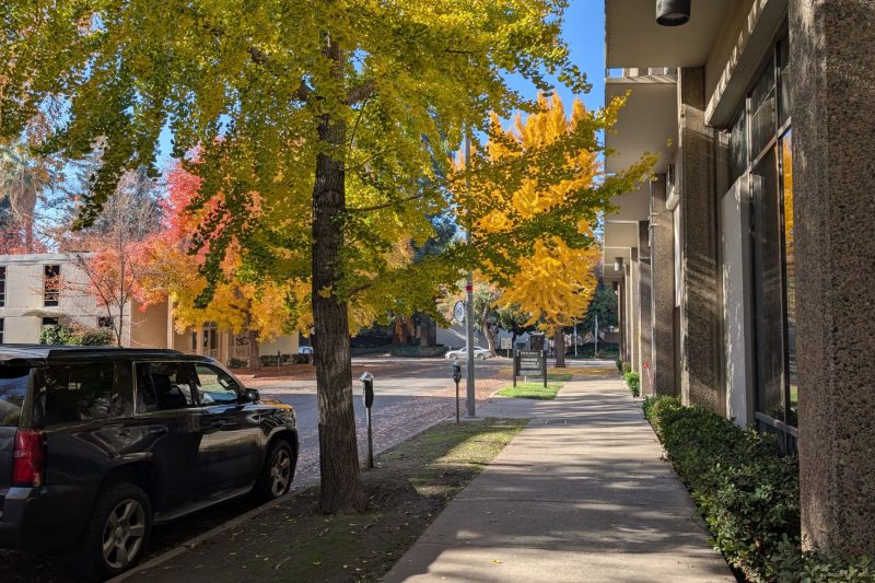 Blog 1 Autumn Awaits: Key Homebuying and Refinancing Tips to Consider Before Fall Officially Begins